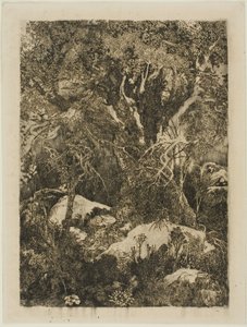A Floresta de Fontainebleau de Rodolphe Bresdin