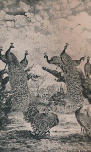 Os Pavões, 1869, 1946 de Rodolphe Bresdin