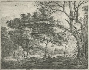 Veado na Floresta de Haia de Roelant Roghman