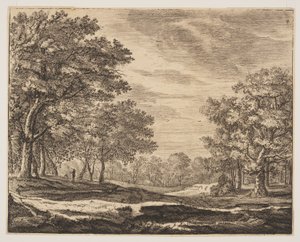 Placa 5, de Seis vistas no bosque de Haia de Roelant Roghman