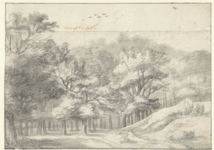 Vista no Haagse Bos de Roelant Roghman