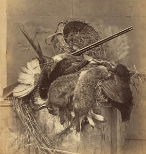 [Natureza morta com caça e arma]. de Roger Fenton
