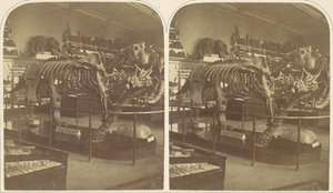 paisagem de Roger Fenton
