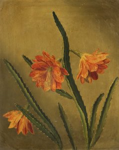 Estudo das flores (óleo sobre tela)