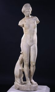 Afrodite de Cirene de Roman