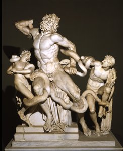 Laocoön e Seus Filhos (mármore) de Roman