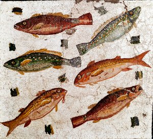 Arte romana: mosaico representando peixes. Século I a.C. Roma, Museo Nazionale Romano - arte romana: Mosaico representando peixes. Século I a.C. Museo Nazionale Romano, Roma, Itália de Roman