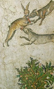 Imagem desconhecida de Roman