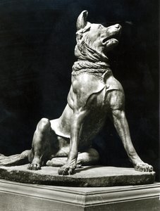 Bull Mastif Dog (mármore) de Roman Roman