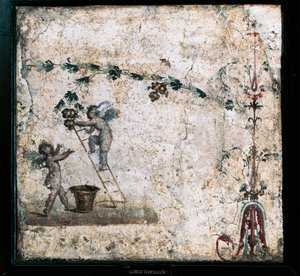 Afresco de terceiro estilo representando a colheita dos Cupidos, da Casa de Marcus Lucretius em Pompeia de Roman Roman