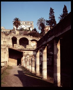 Vista da palestra, século V a.C. - século I d.C. de Roman Roman