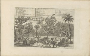 Bomen en specerijen
Plantes des Indes, etc / Indiaensche kruyden, etc (título sobre o objecto)
As Índias Oriental e Ocidental e outros lugares (título da série) de Romeyn de Hooghe