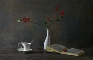 Natureza morta de leitura aconchegante de Rong Wei