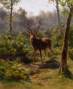 Um veado de Rosa Bonheur