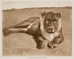 Leão de Rosa Bonheur