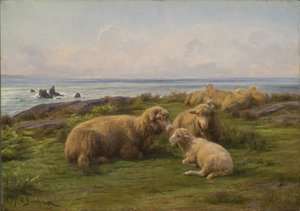 Ovelhas à beira-mar de Rosa Bonheur