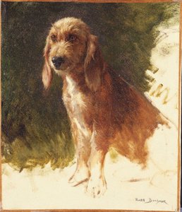 Estudo de um cão de Rosa Bonheur