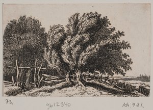 Paisagem de Rosalie Holm