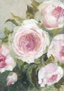 Rosas Rosa Suave