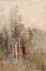 Um Estudo de Árvore, 1879. de Ross Turner