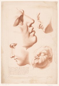Cabeças de homem, mulher e criança
Princípios de desenho da natureza, parte dois (título da série)
IIe Cahier de Principes du Dessin d