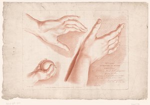 Impressão do título com três mãos
Princípios de desenho da natureza, parte oito (título da série)
VIII Cahier de Principes du Dessin d