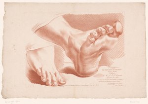 Impressão do título com dois pés
Princípios de desenho da natureza, parte cinco (título da série)
Ve Cahier de Principes du Dessin d