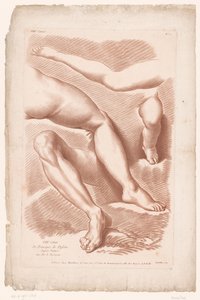 Imagem do título com quatro pernas em posições diferentes Princípios de desenho da natureza, parte oito (título da série) VIIIe Cahier de Principes du Design d