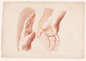 Duas mãos
Princípios de desenho da natureza, parte oito (título da série)
VIII Cahier de Principes du Dessin d