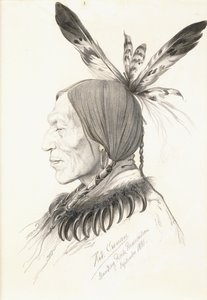 Heu-Topa, Quatro Chifres ou Jagoo, O Narrador, Chefe dos Hunkpapa Sioux de Rudolf Cronau