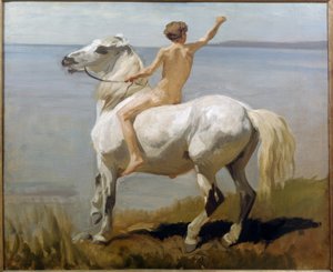 Rapaz num cavalo branco