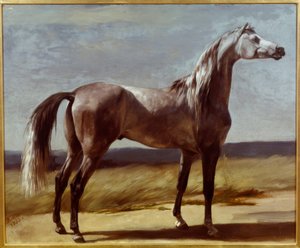 Cavalo numa paisagem