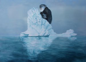Chimpanzé num iceberg