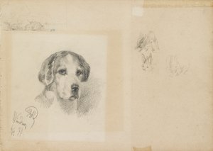 Retrato de um cachorro: Windsor, 1877 de Rudolf Wimmer