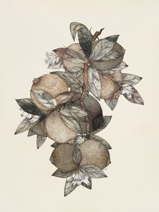  de Rufus King