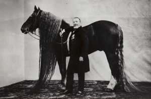 O artista de circo russo Akim Nikitin com um cavalo de Russian Photographer
