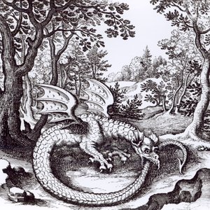 Um Dragão na Floresta, de &39;Musaeum Hermeticum Reformatum&39; de Basil Valentine, 1678 de Russian School