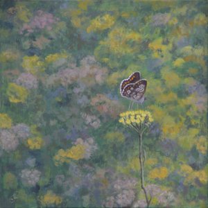 Brown Argus (depois da foto de Sara Crow) de Ruth Addinall
