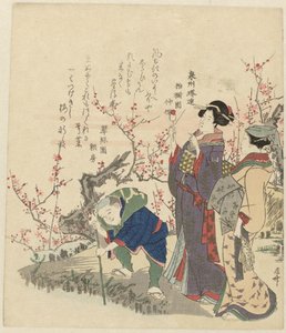Figuras na lagoa com flor de Ryuryukyo Shinsai
