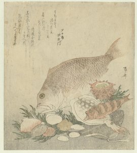 Peixes e conchas de Ryuryukyo Shinsai