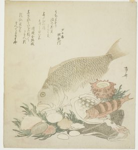 Peixes e conchas de Ryuryukyo Shinsai