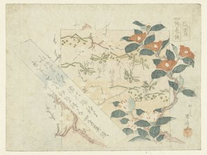 Folhas de Poesia de Ryuryukyo Shinsai