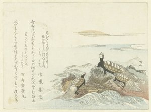 Tartarugas em uma rocha de Ryuryukyo Shinsai