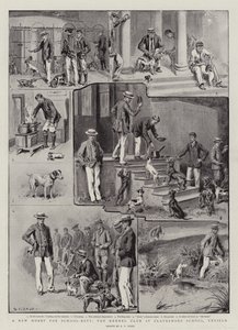 Um novo passatempo para meninos da escola, o Kennel Club na Clayesmore School, Enfield