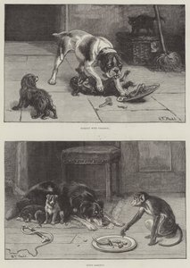 Cães e Comida