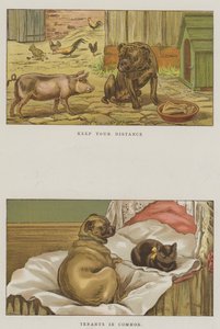 Cães humorísticos (cromolitho) de S.T. Dadd