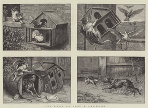 Olhe antes de você pular, uma catástrofe de S.T. Dadd