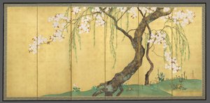 Cerejeiras e bordos de Sakai Hoitsu