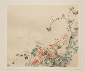 Hawk on Plants (impressão em bloco de madeira a cores) de Sakai Hoitsu