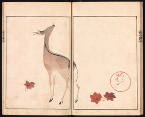 Álbum de imagens Ōson (Hōitsu) (Ōson gafu) de Sakai Hoitsu
